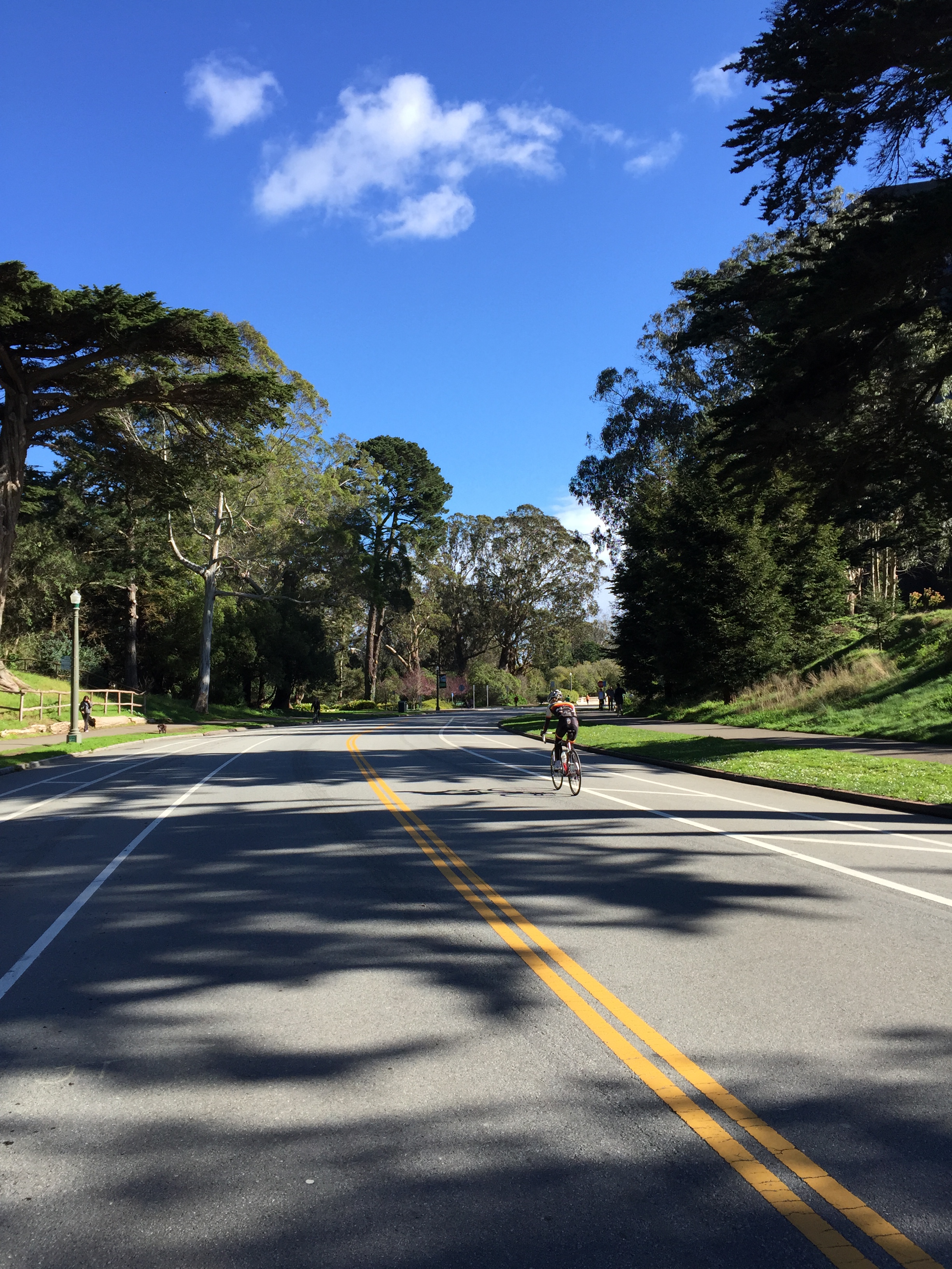 Golden Gate Park – Rippin It OG Ce Style